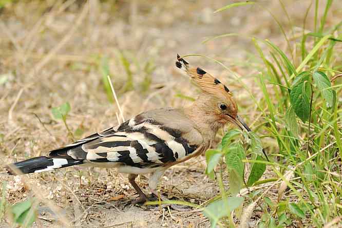  点击图片或使用键盘← →翻页