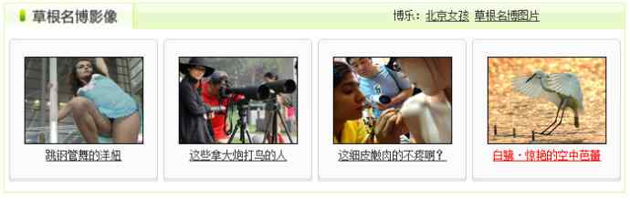 白鹭捕红鱼 白鹭捕红鱼