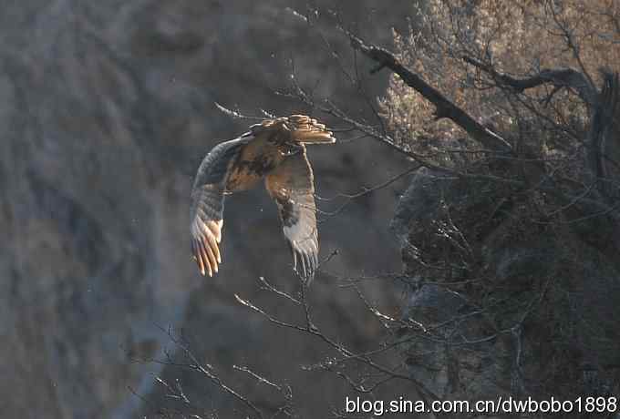 秋到白河湾 秋到白河湾