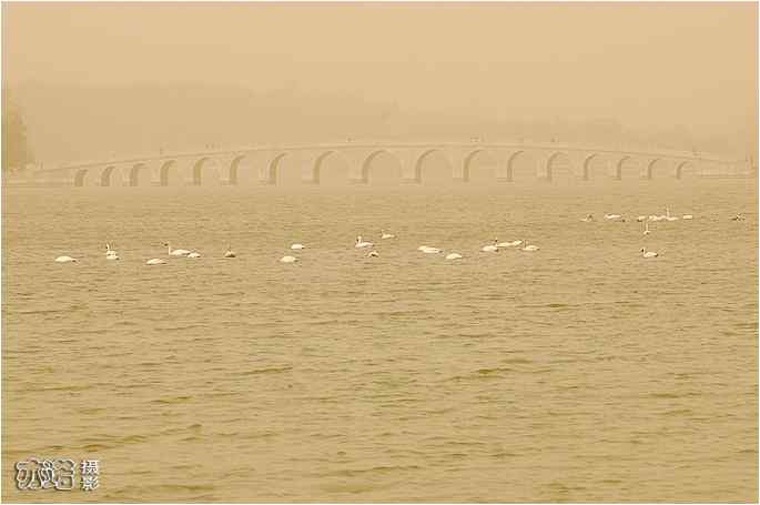  点击图片或使用键盘← →翻页