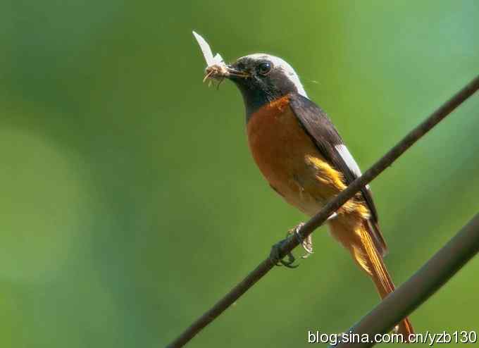 白河峡谷一日游（组图，11张图片）