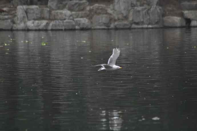 20100505当日总结