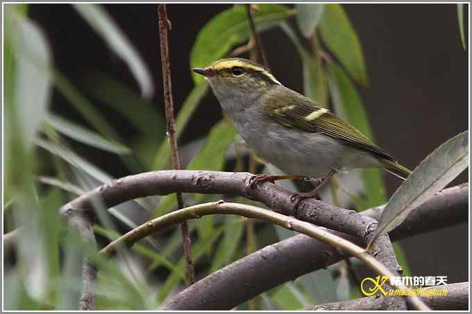 初遇鈥満至衡潯菊掌