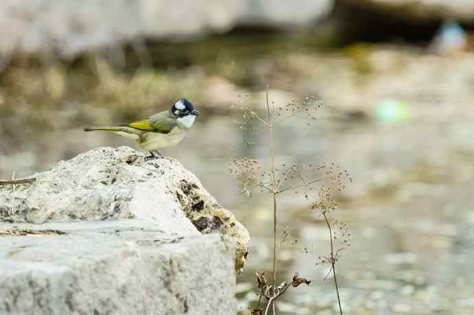 收获菜鸟也开心 收获菜鸟也开心