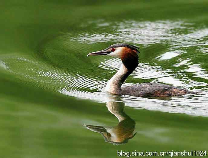 风头(pt)渐渐远去