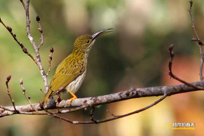 记录鈥溛票巢吨肽疋 记录鈥溛票巢吨肽疋