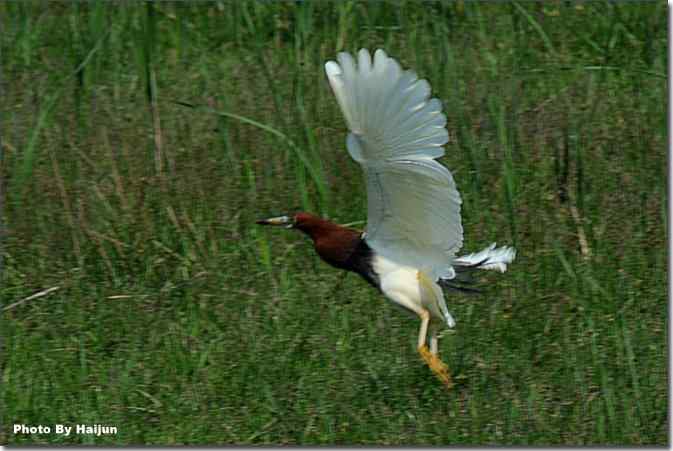  点击图片或使用键盘← →翻页