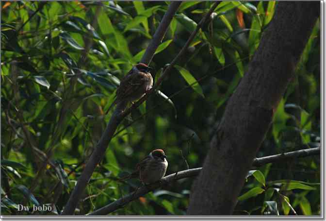点击图片或使用键盘← →翻页