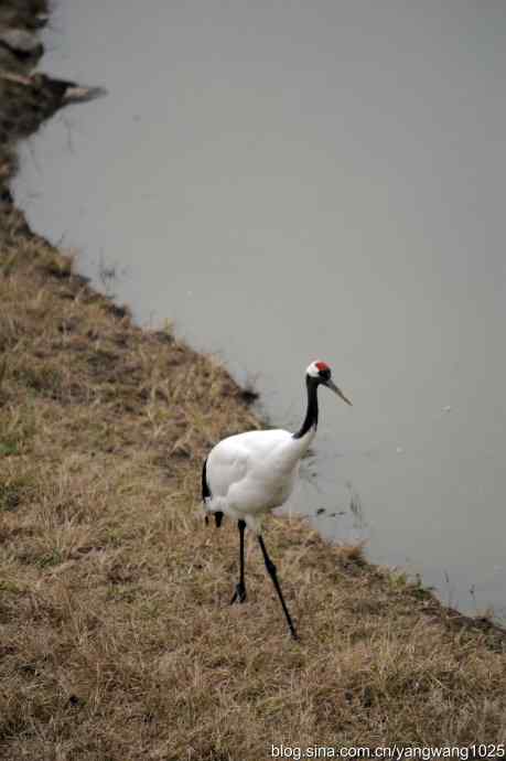 晚秋寻美 wbr wbr3