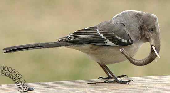 乱伦的后果 乱伦的后果