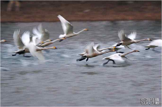  点击图片或使用键盘← →翻页