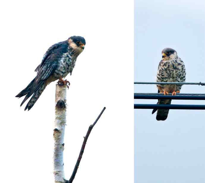 官厅水库 wbr路 wbr金秋十一猛 官厅水库 wbr路 wbr金秋十一猛