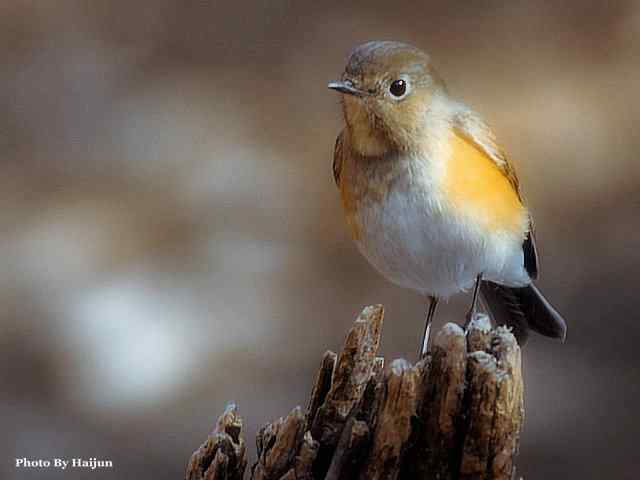 游走山水 猎摄河湾