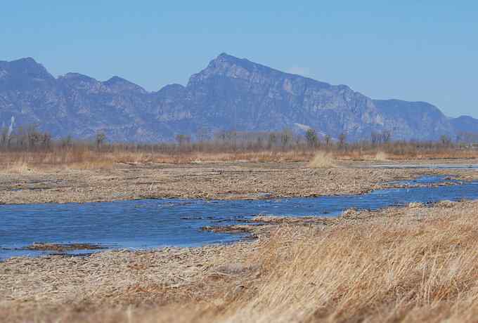 野鸭湖雁鸭翔飞 野鸭湖雁鸭翔飞