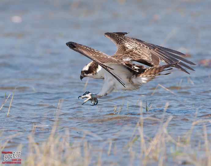 官厅水库 wbr路 wbr金秋十一猛 官厅水库 wbr路 wbr金秋十一猛