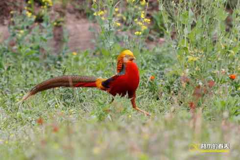 发一组鈥満旄菇跫︹