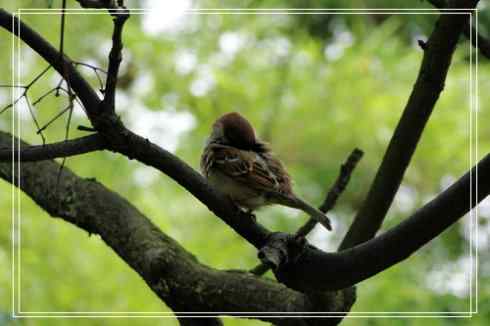 我的大生活之鈥溕隳衿濃2