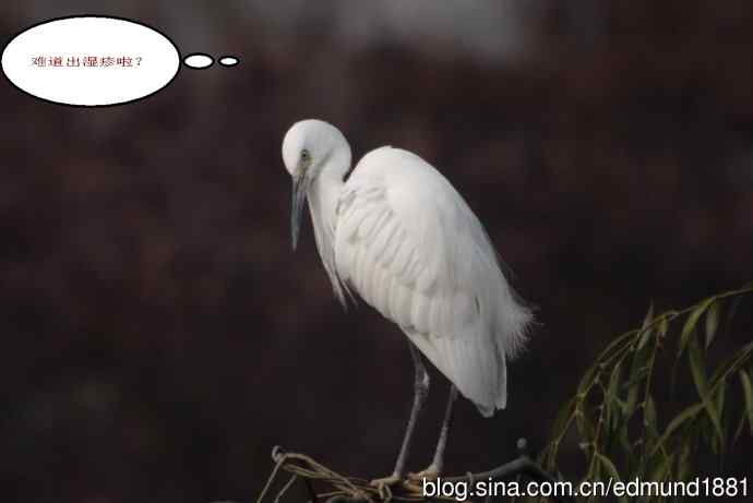 偷拍白衣俪人日光浴 望远镜摄影习作