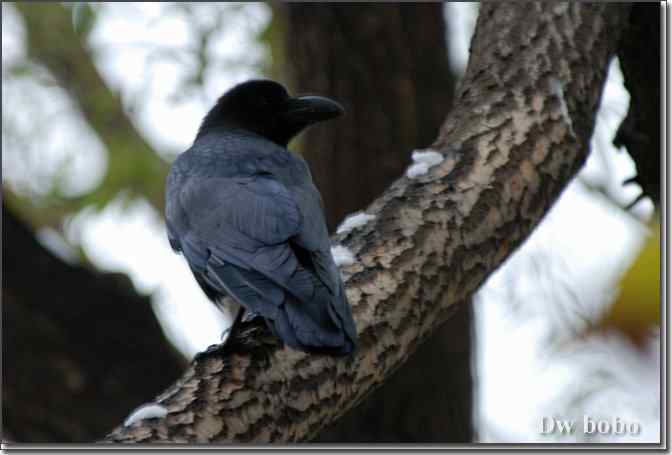 点击图片或使用键盘← →翻页