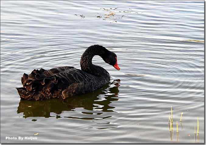  点击图片或使用键盘← →翻页