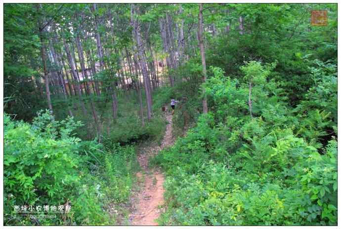 随州厥水河 随州厥水河