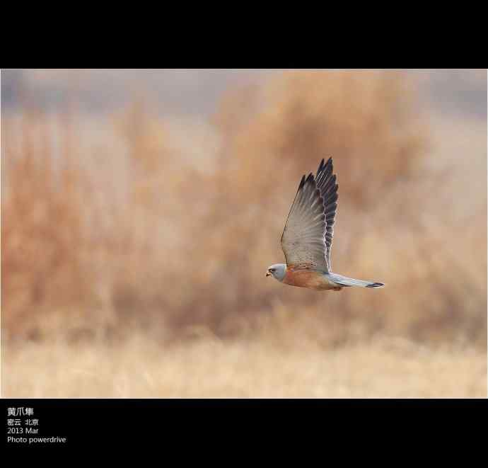 【人间四月天】