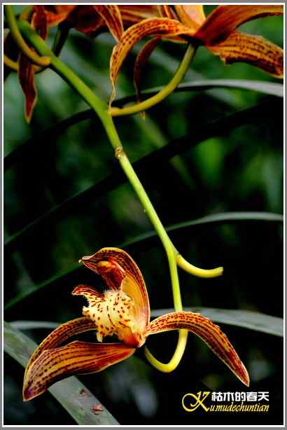 今天不拍鸟【照片】 今天不拍鸟【照片】