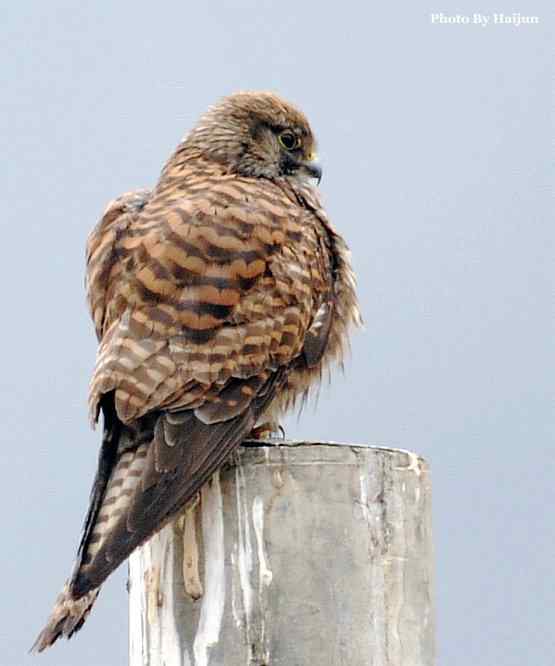 游走山水 猎摄河湾