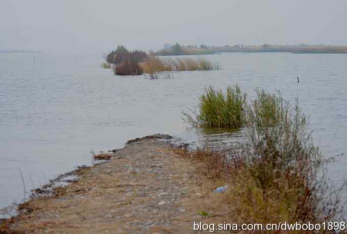 东花园观鸟生境记录