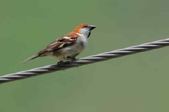 【综合】山间风景“线”