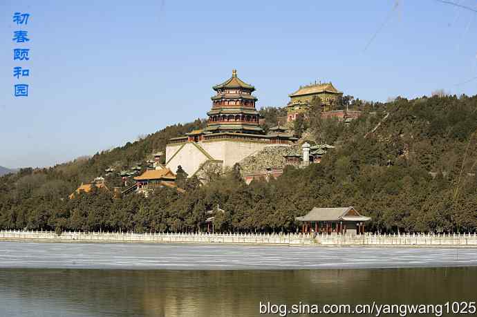 颐和园的收获（潜鸟）