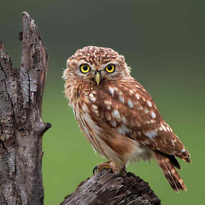 赏图鈥斺斕嵘诤奈幕