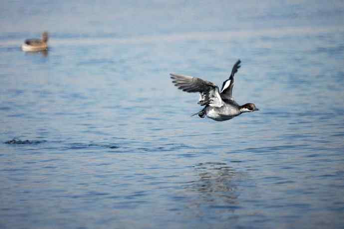 美好记忆鈥斺斣那锷逞