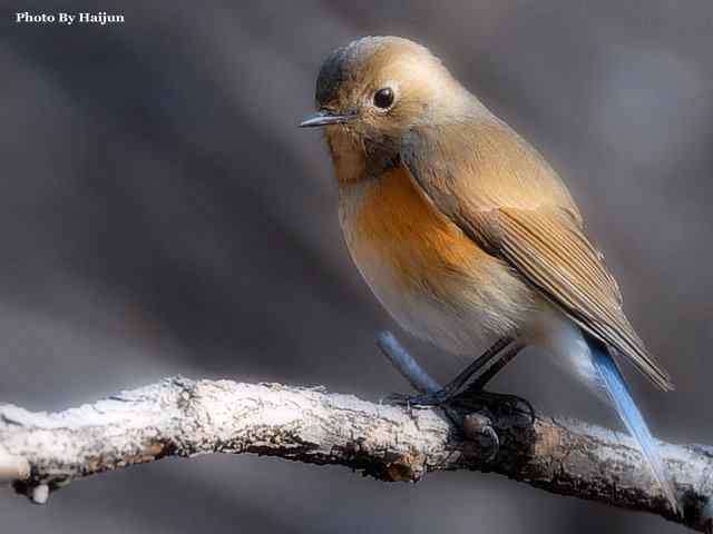 游走山水 猎摄河湾