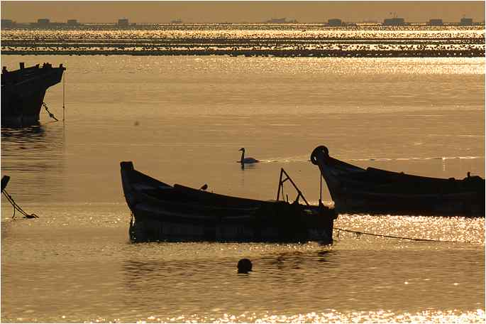 点击图片或使用键盘← →翻页