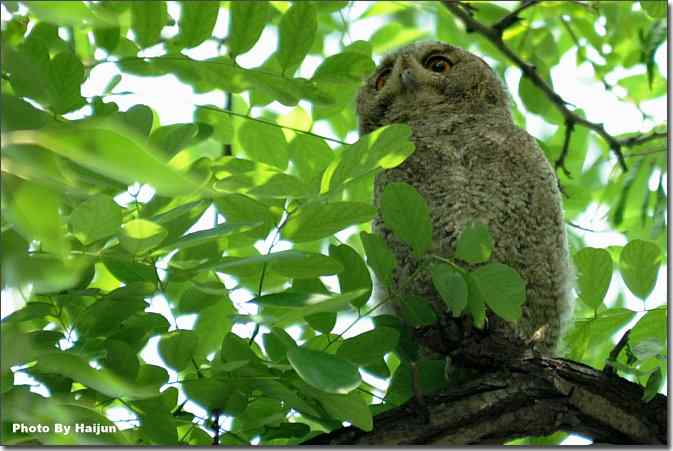  点击图片或使用键盘← →翻页