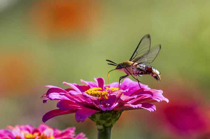 228.幸福像花儿一样美