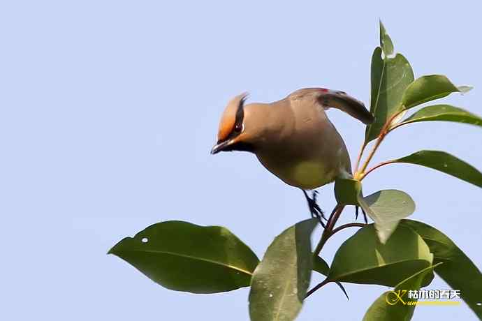 记录鈥溞√侥疋