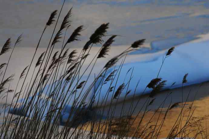 永定河生态观鸟