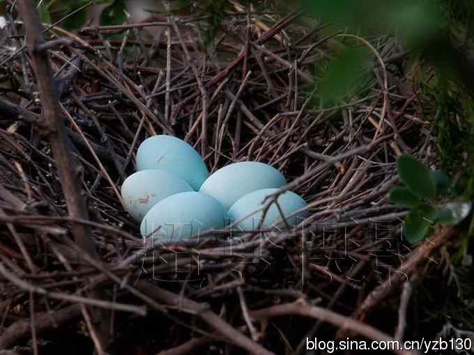 聆听超萌鈥溞∫光澢ㄗ橥迹24张图片）