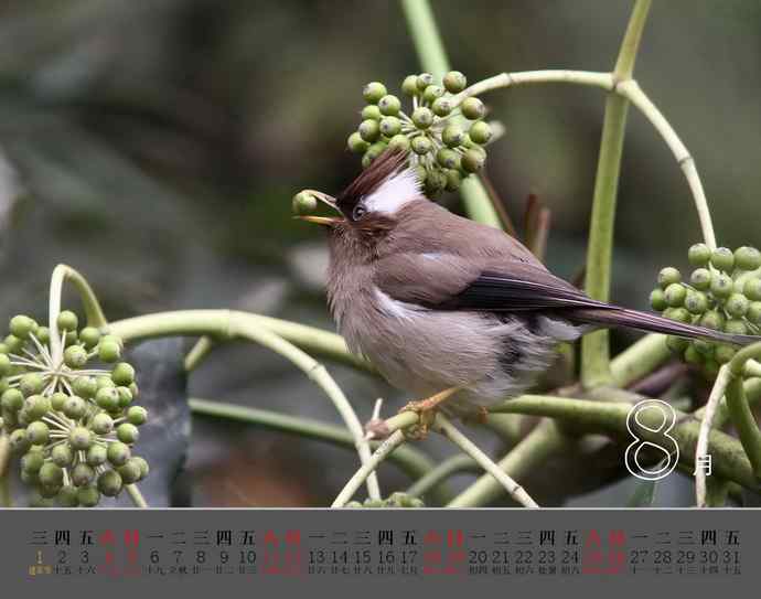 珍惜生命中的每一天-献给我的2012【图】