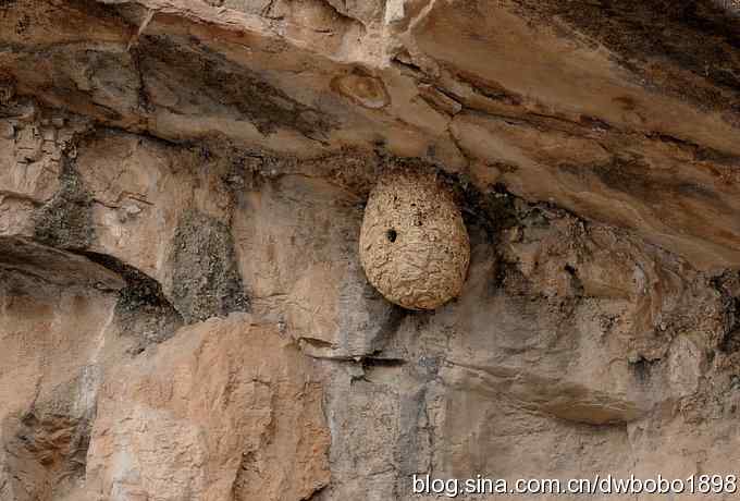 山光悦鸟性 wbr偶心竞翔飞 山光悦鸟性 wbr偶心竞翔飞