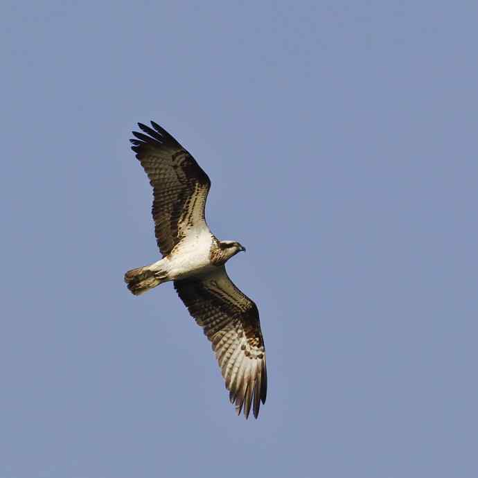 颐和园意外的收获鈥斺旔