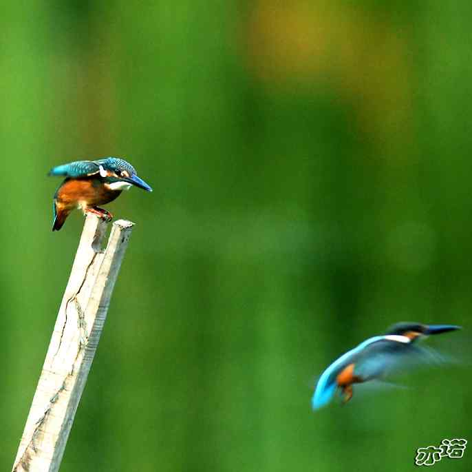 圆明园&nbsp;wbr路&nbsp;wbr我的地盘听我的