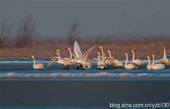 今日野鸭湖鈥斺敶筇於欤ㄗ橥迹20张图片）