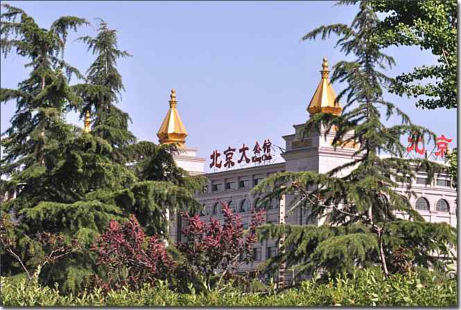 湿地拍鸟儿归来兮 点击图片或使用键盘← →翻页