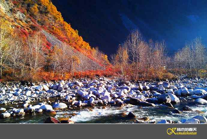 寻梦鈥溠趴讼拟潯臼蹬摹