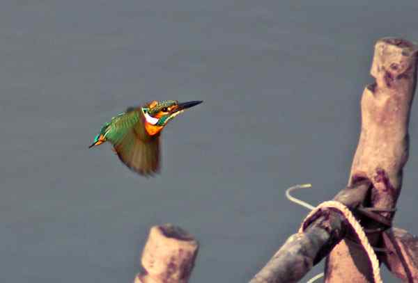 与小翠的亲密接触，珠海独行（三）（组图）