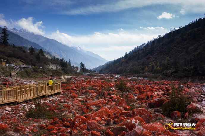 神奇的“红石滩”