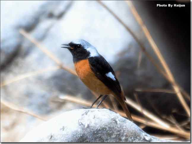  点击图片或使用键盘← →翻页